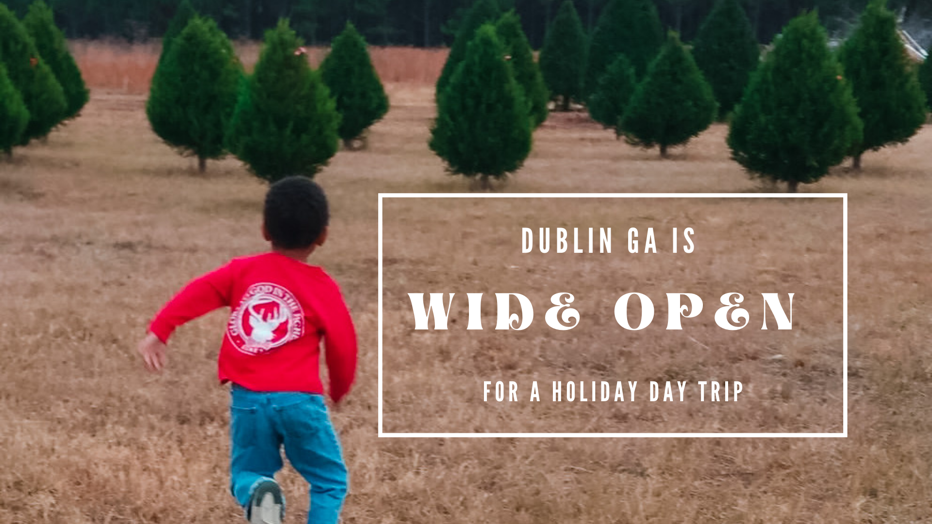 Holiday Day Trip in Dublin GA