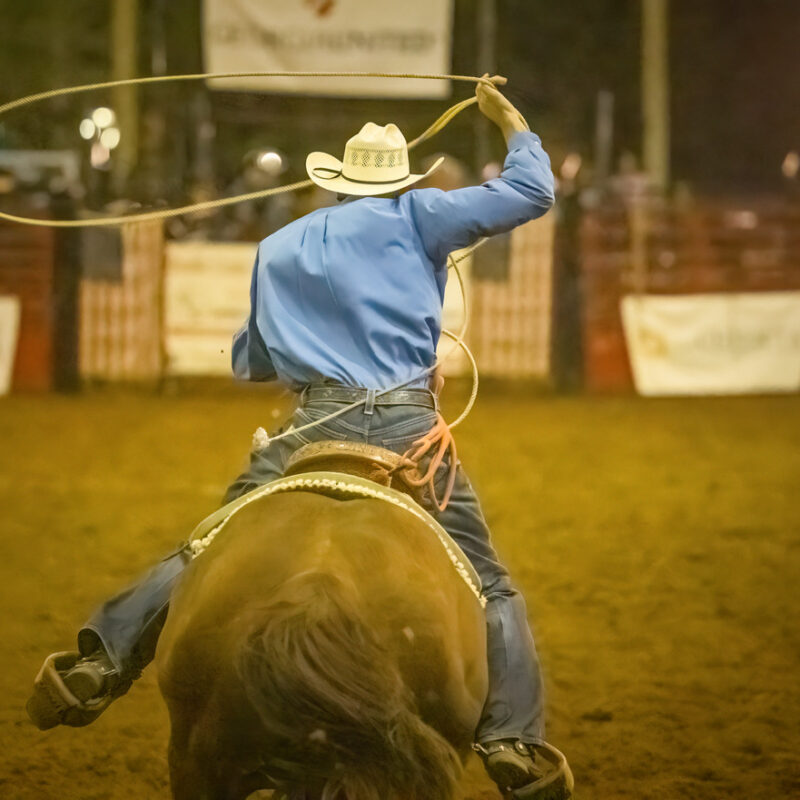 Cowboy rides on his horse prepping his lasso for the Easterseals Pro Rodeo