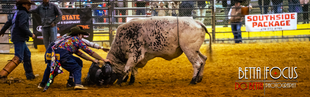 ultimate bullfighting