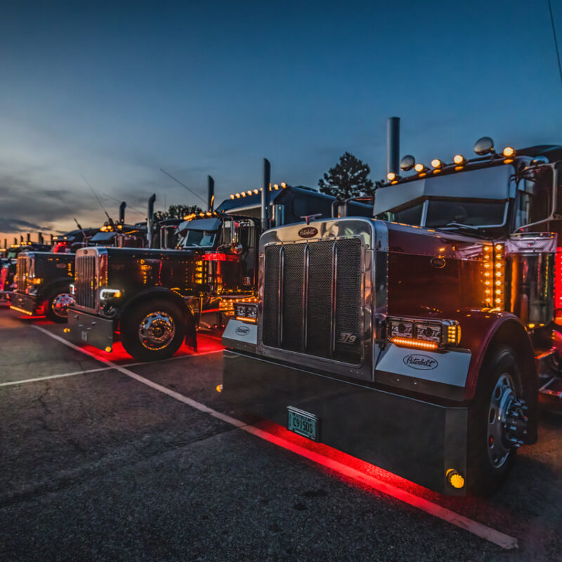 A Lane of Trucks Shine in the Pines