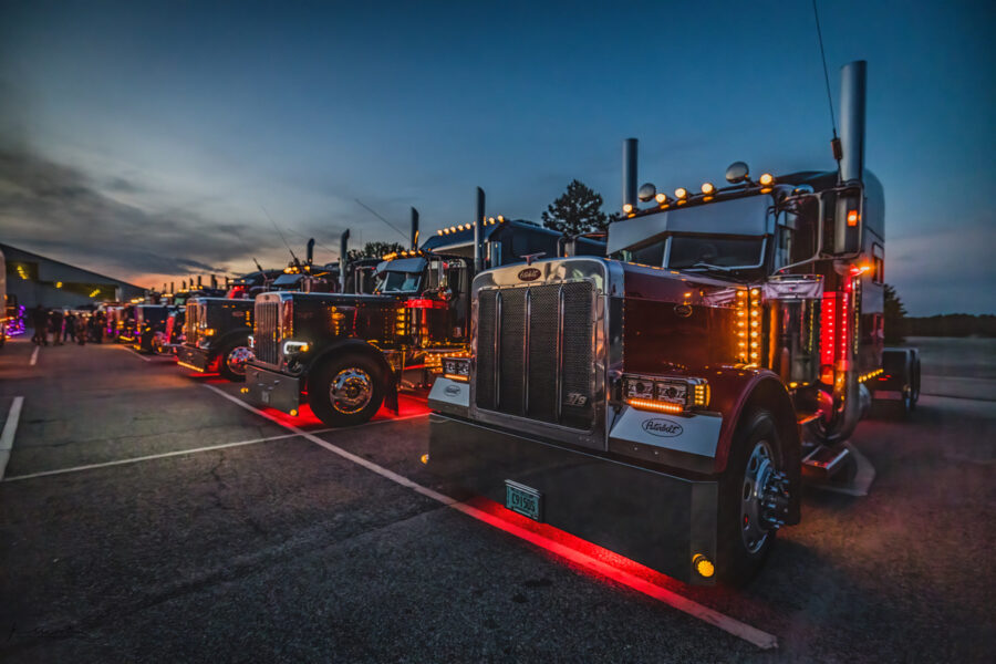 A Lane of Trucks Shine in the Pines