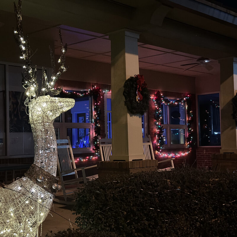 Lit deer and Christmas lights at Dublin Visitors Center.