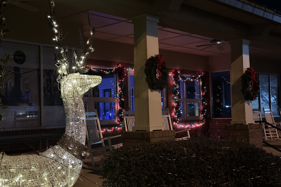 Lit deer and Christmas lights at Dublin Visitors Center.