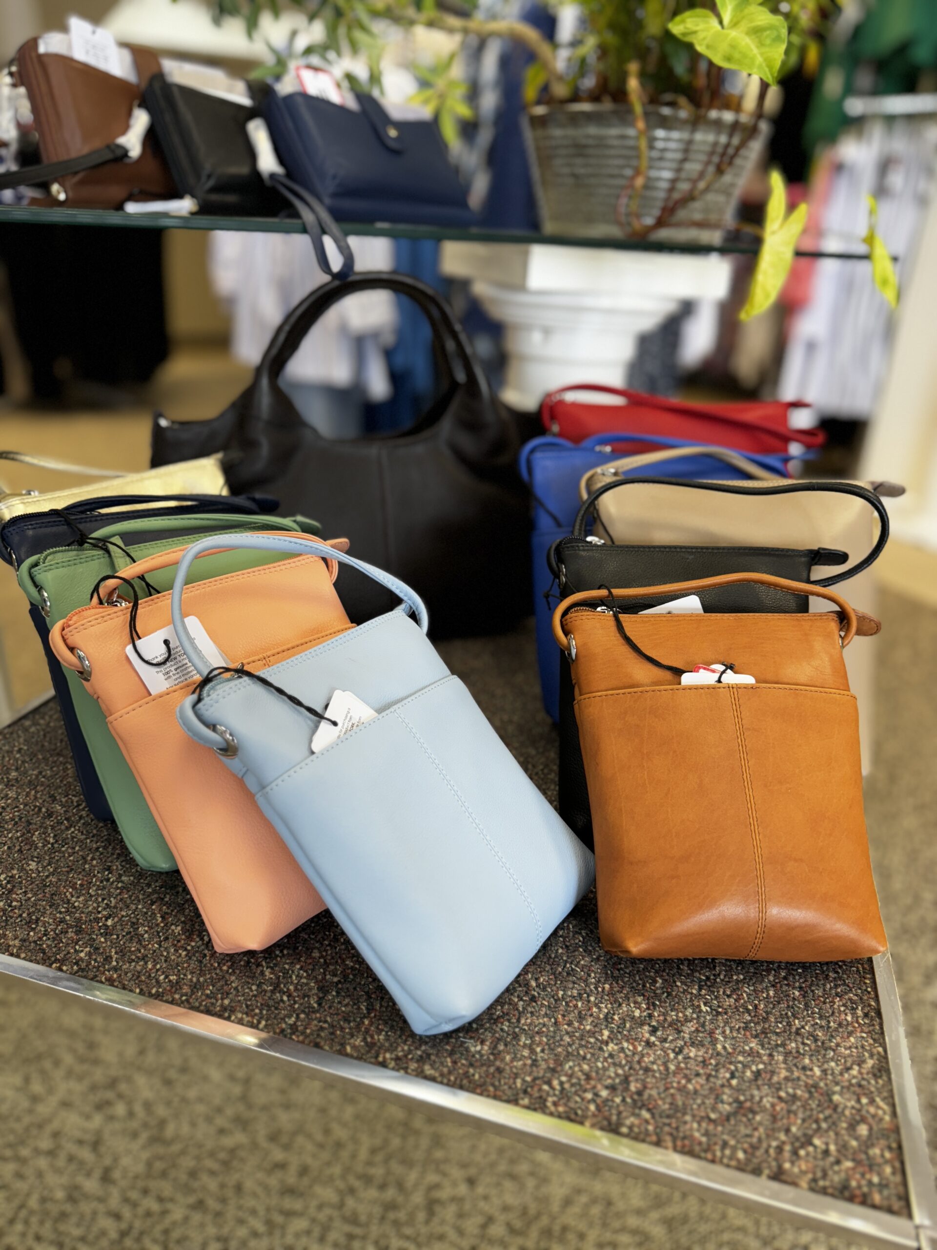 Small purse in multiple colors on a shelf at Plum Alley