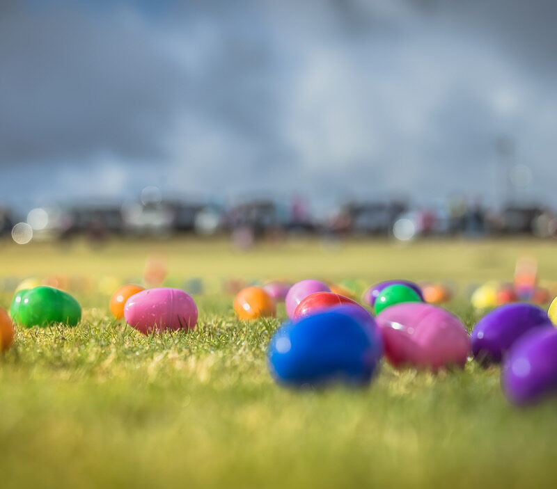 Eggs spread out over a field during the Easter Egg Drop.