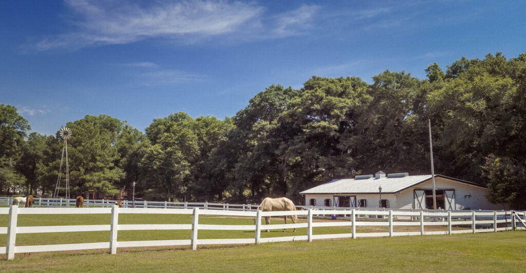 Horses in a pasture beyond a white fence at Legacy Lanes Stables.