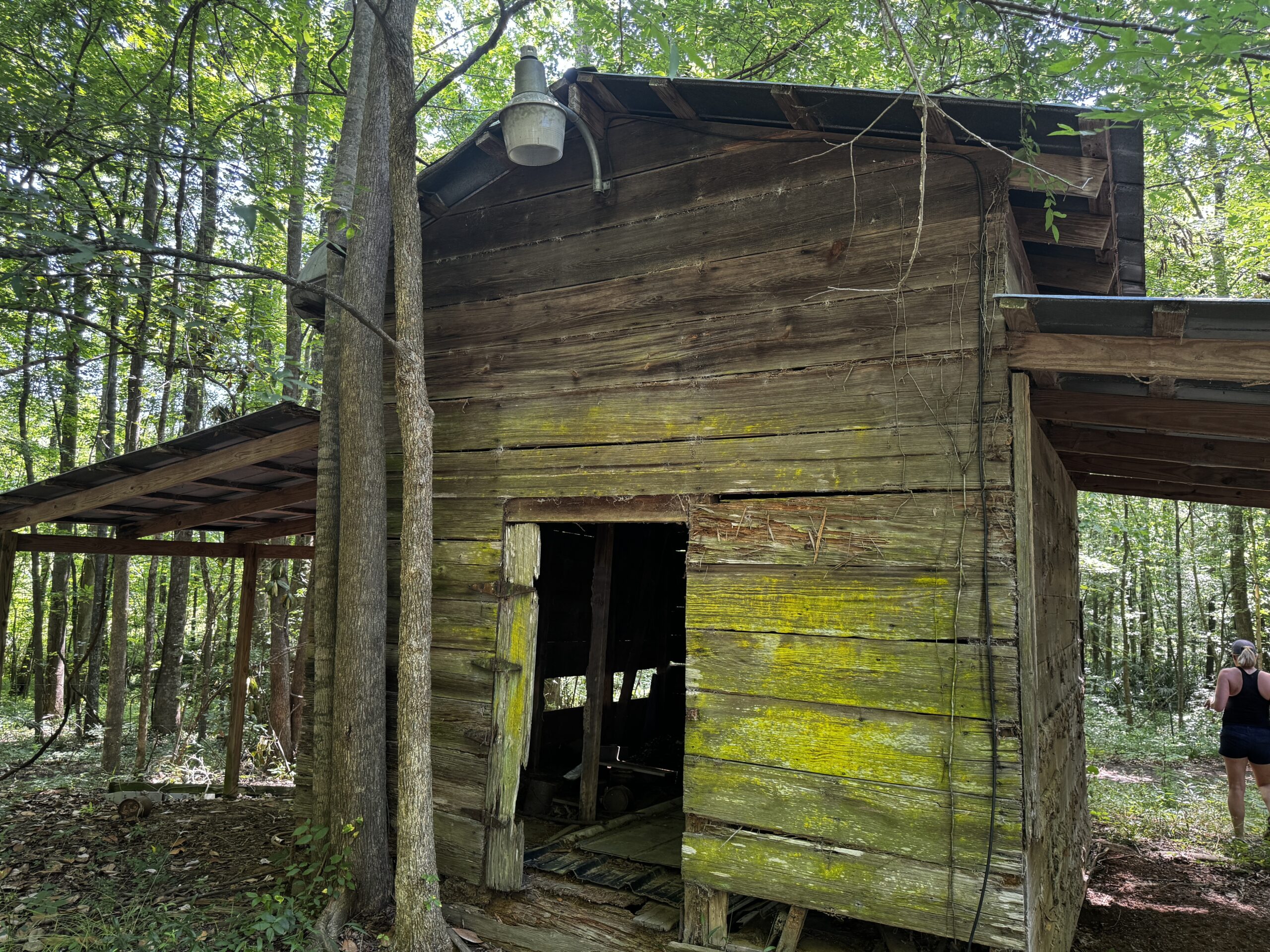 Rustic barn in the wooded property of Legacy Lane Stables.