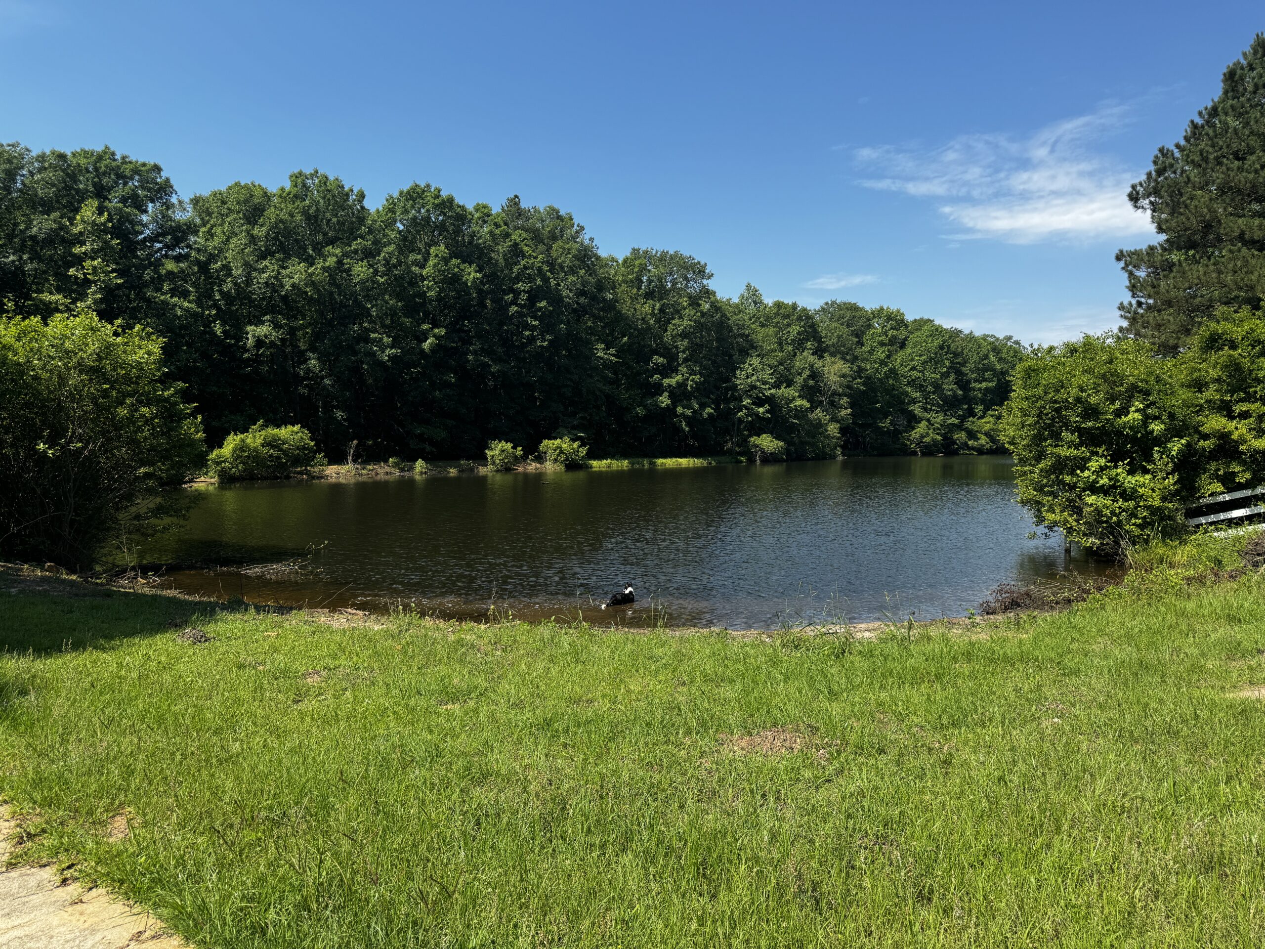 Fishing pond at Legacy Lane Stables.