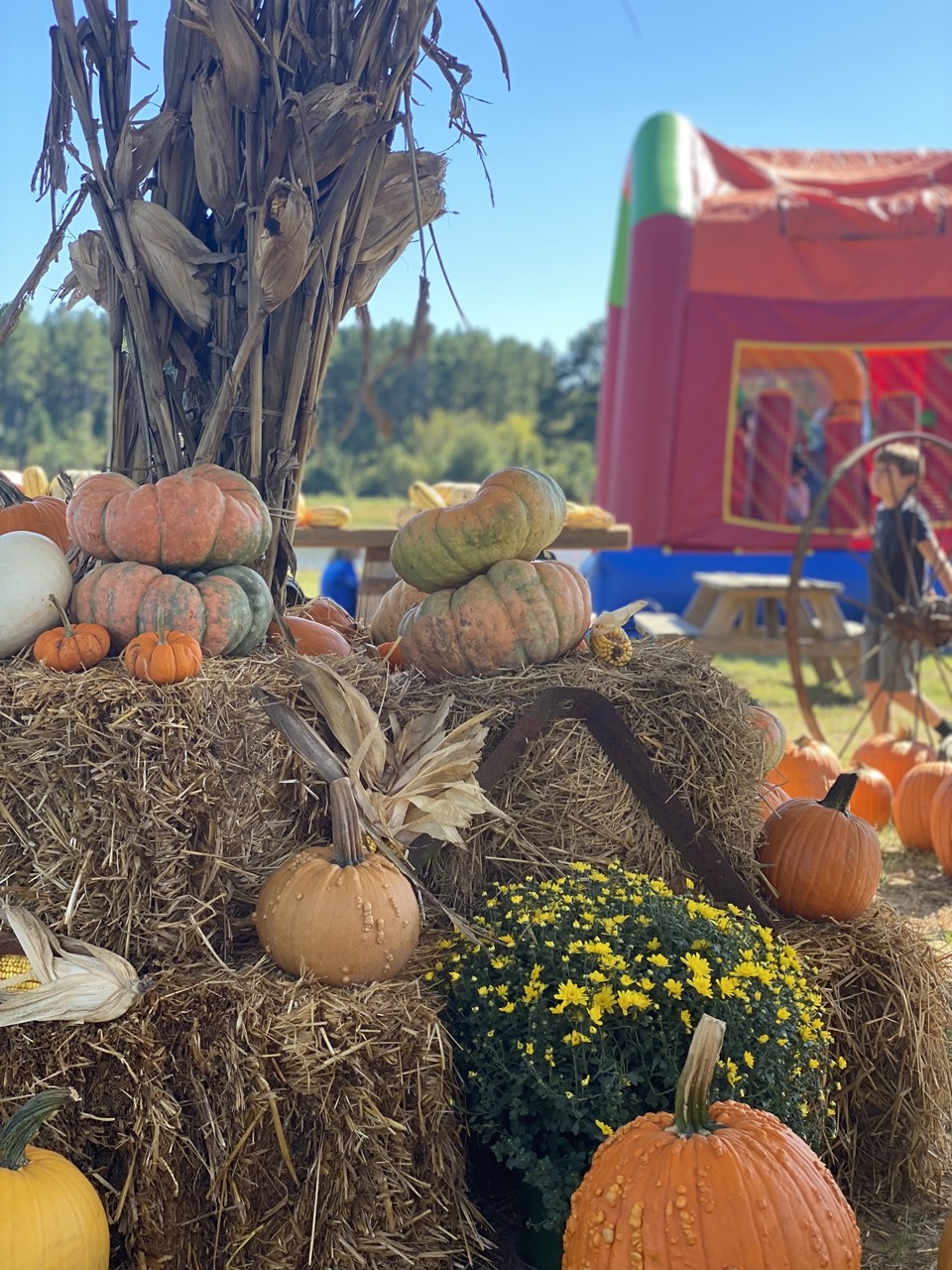 A display of haybales and pumpkins with a bouncy castle in the background during events at Southern Cypress Christmas Tree Farm