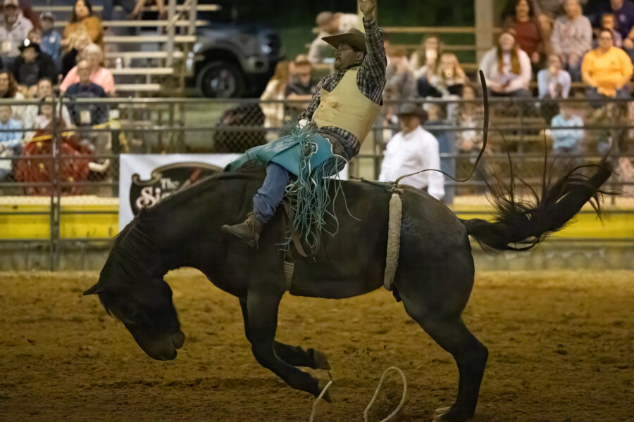 Man rides on bucking bronco during Easterseals Pro Rodeo
