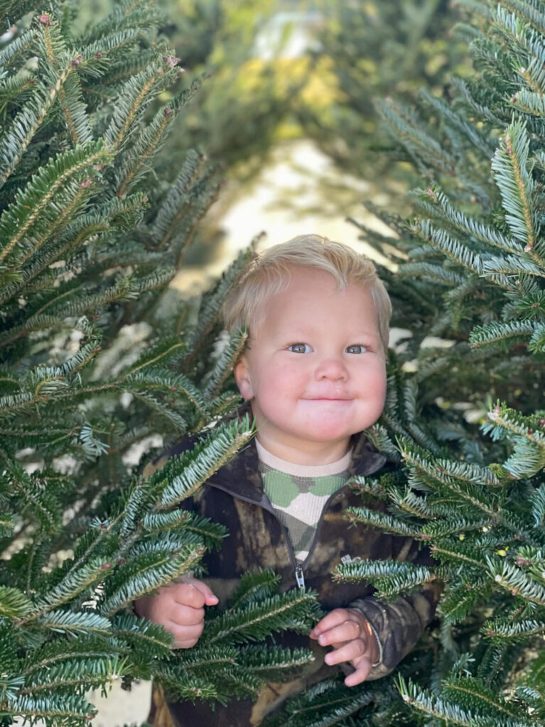 Young boy peeking through the branches of a Christmas tree still in the field at Southern Cypress Christmas Tree Farm.