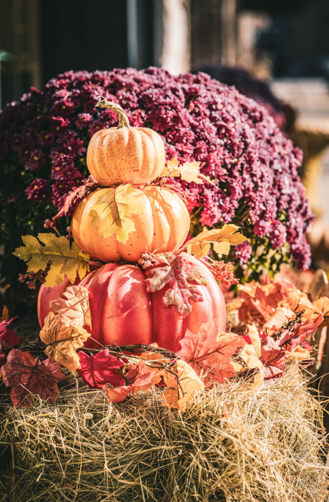 cozy thanksgiving pumpkins