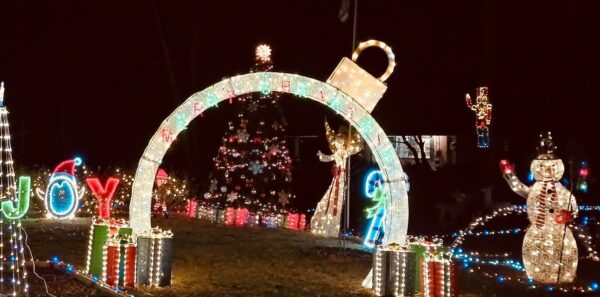 Christmas lights, ornament, snowman