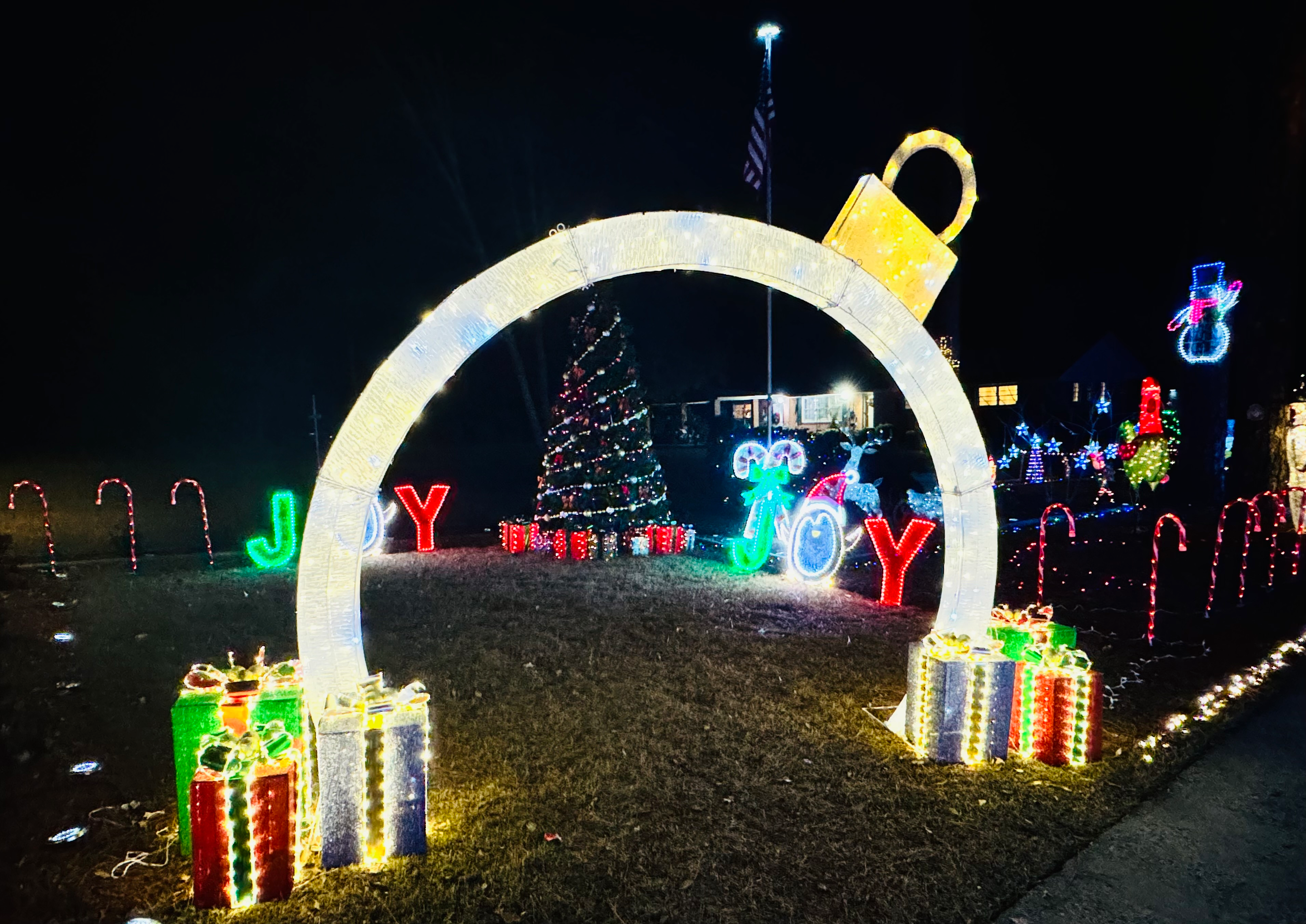 Twinkling Lights and Festive Nights in Dublin GA