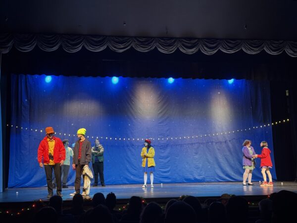 Photo of performers in the Dublin Community Theatre performing on stage at Theatre Dublin.