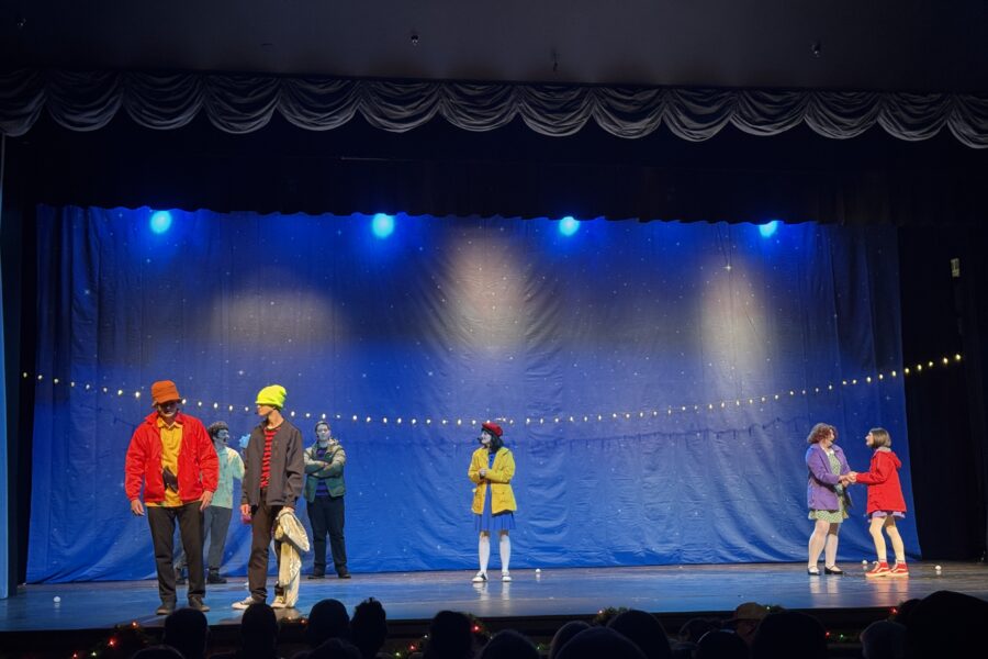 Photo of performers in the Dublin Community Theatre performing on stage at Theatre Dublin.
