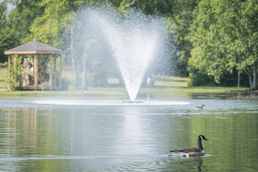 fun fairview walking trail