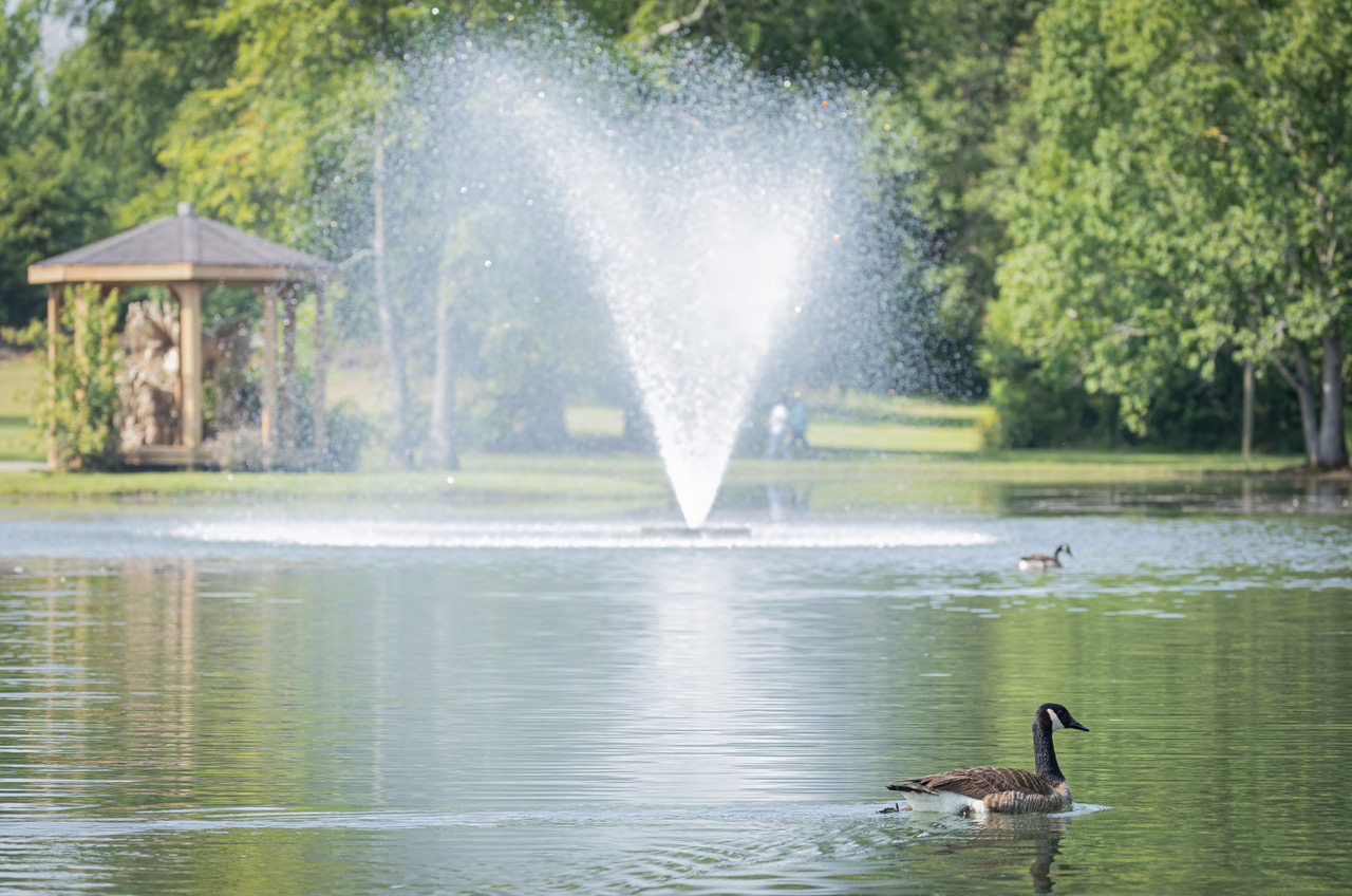 Satur-YAY in Dublin GA: Where Every Saturday Is a Treat