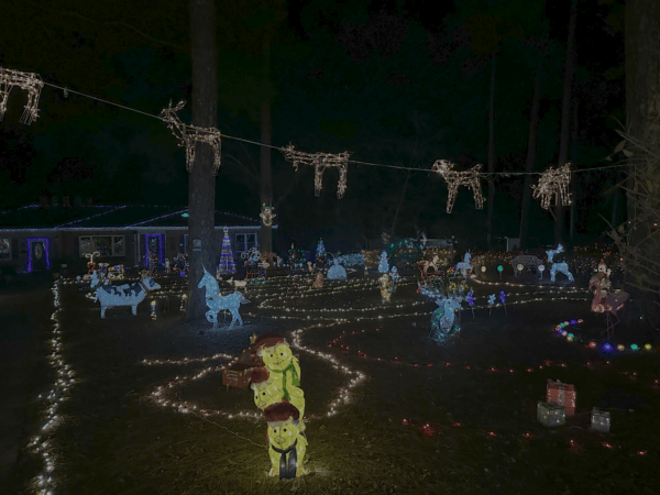 Dazzling Christmas lights seen at Brookdale Drive Christmas Lights Display.