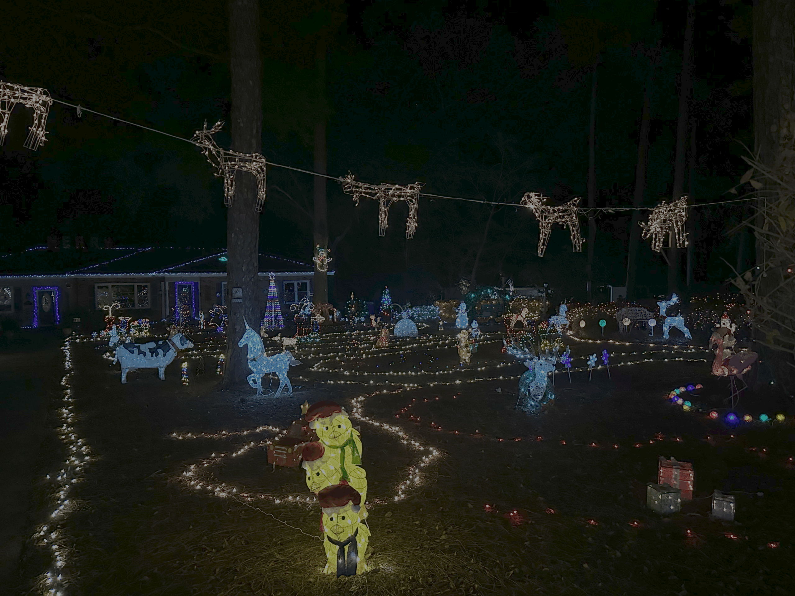 Dazzling Christmas lights seen at Brookdale Drive Christmas Lights Display.