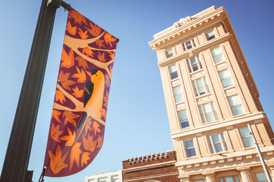 Fall banner of a bird sits in front of Dublin skyscraper