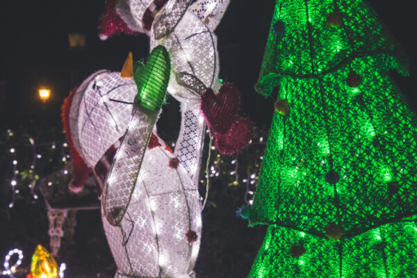 VisitDublinChristmasLights2025-23 VisitDublinChristmasLights2025-23