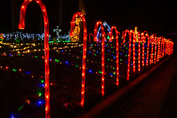VisitDublinChristmasLights2025-24 VisitDublinChristmasLights2025-24
